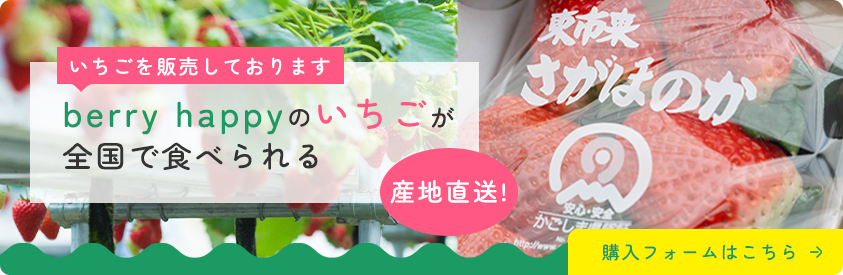 いちごを販売をしております berryhappyのいちごが全国で食べられます